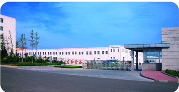 青島京瑞達貿易 以技術研發為引擎，驅動計算機軟硬件業務發展